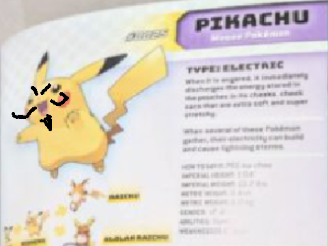 All about Pikachu cursed