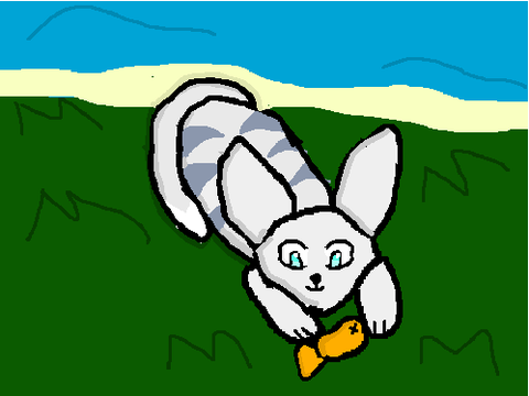 Open Warriors CC! (coloring competition)