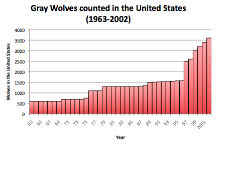 The comeback of Wolves