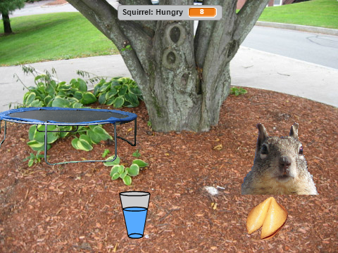 Take Care Of Your Own Pet Squirrel!!!!! 