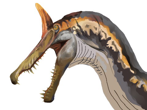 working on for new guy