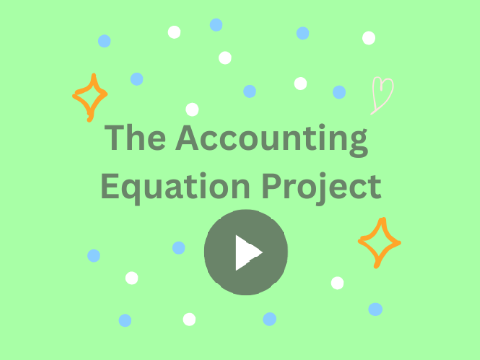The Accounting Equation Project
