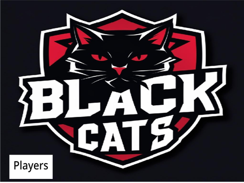 Blackcats Homepage (SDGL)