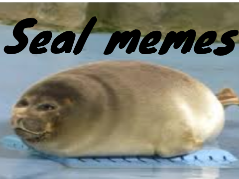 Seal memes