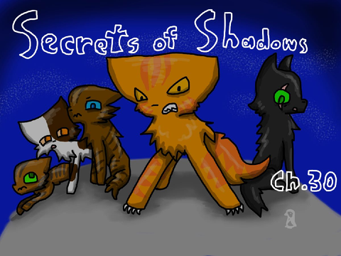 Secret of Shadows Chapter 25-30