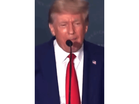 Trump meme