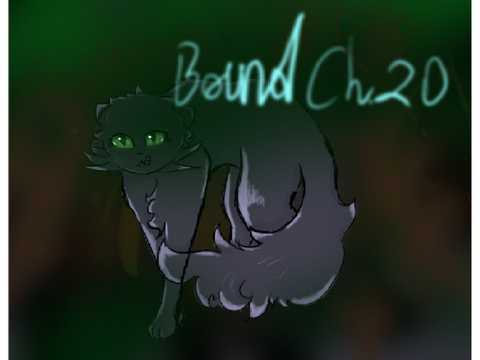 Bound Ch.20 TNE
