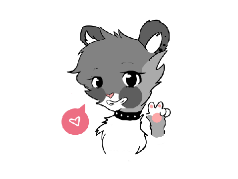 ~ DTA: Soft Koala ~