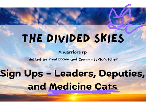 "Cats in the Bureau" a divided skies application!