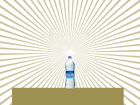 Bottle flip