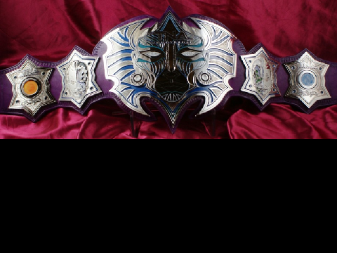 Jeff Hardy's TNA World Heavyweight Championship Belt