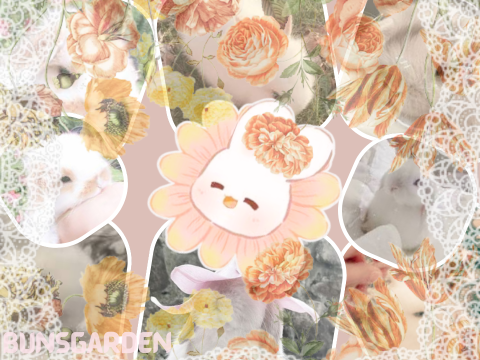 ༻❁✿❀༺  ⋮ ⌗  welcome!!┆༻❁✿❀༺ 