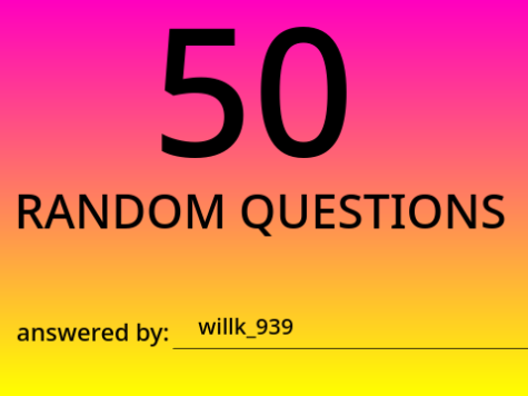 50 random questions remix