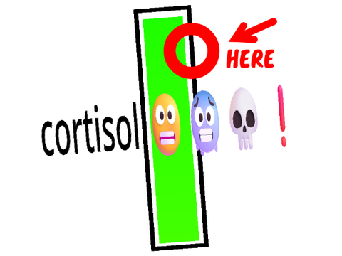 did i predict cortisol ‼️‼️