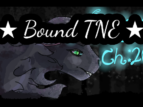 TNE ★ Bound Ch: 20
