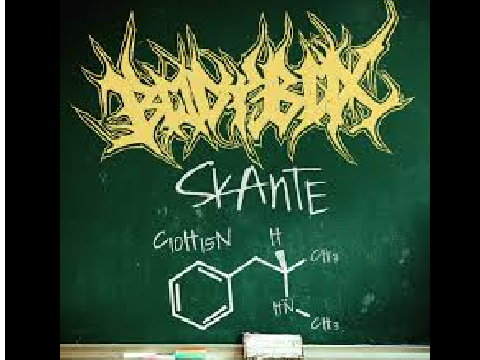 Bodybox - Skante