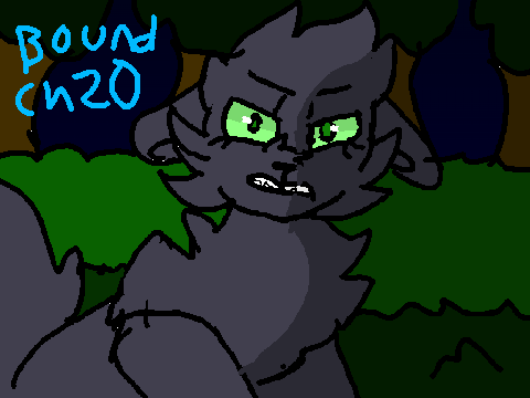 Bound Chapter 20 TNE