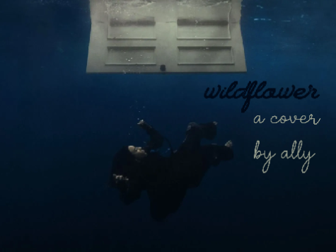 wildflower || a cover by ally