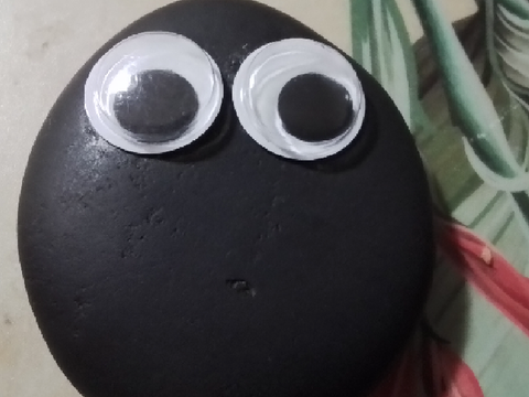 Pet Rock