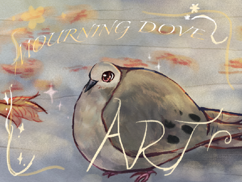 mourning dove speed paint