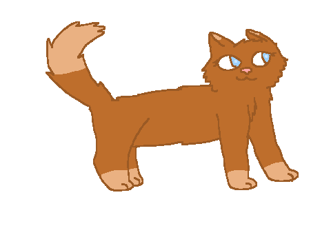Rowanshade ref for Flameclan