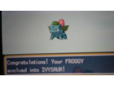 Yay