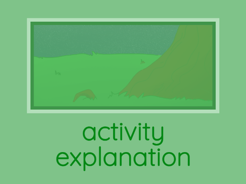 activity explanation