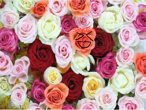 Add yourself as a rose!