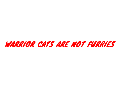 Chat :/