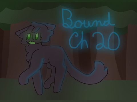 Bound Ch 20 TNE