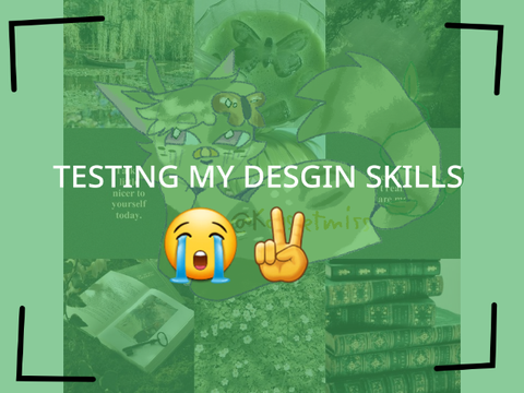 ✧ desgin test