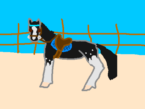 My loan horse wearing tack