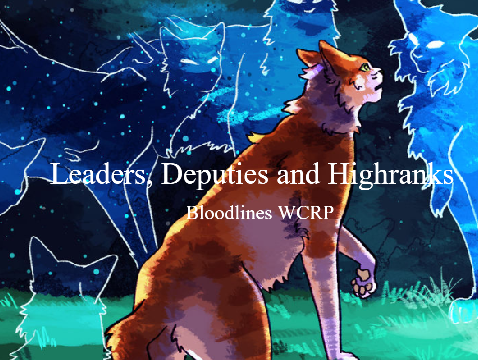 Leaders and highranks ~ How to manage them