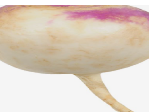 TURNIP