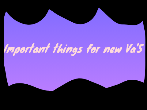 Important things for new VA'S