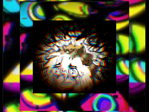 new pfp & studio thumbn ig..
