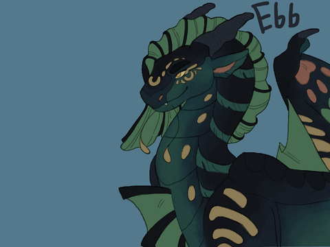 [WINGS OF FIRE] Ebb