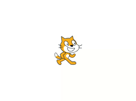 Bouncy Cat