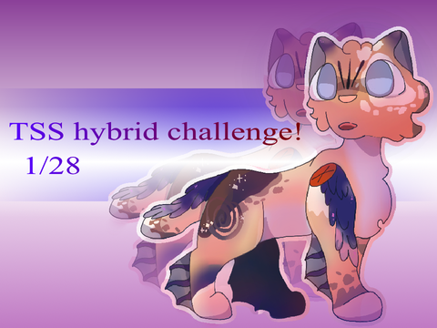 1/28 tss design challenge entry!