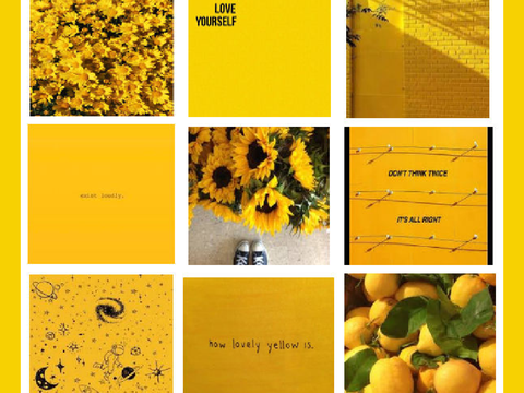 {"Joy's Happy Place"}  | TENRP BIO