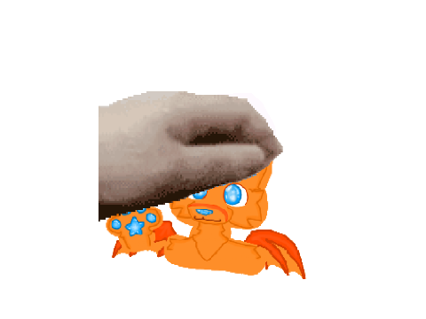 pet the splash