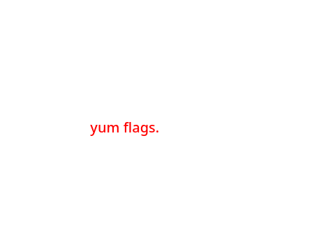 all my stupid little flags 