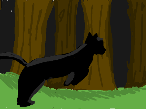 Cat animation!!:D