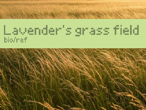 Lavender's grass field // ref/bio