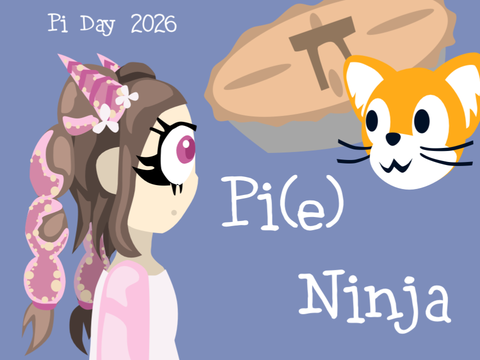 Pi(e) Ninja