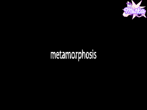 metamorphosis 