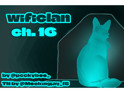 wificlan chapter 16 [tne]