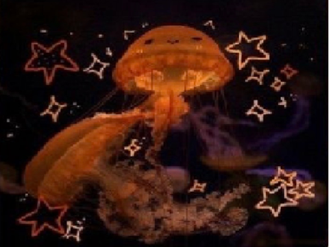 ᶠˡᵒᵃᵗⁱⁿᵍ ᵃˡᵒⁿᵍ
