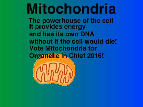 Last Mudslinging thing Side A- Mitochondria