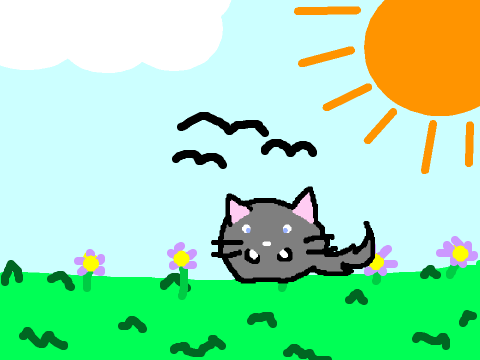 Kat